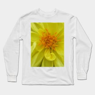 closeup macro photography of bright glowing yellow dahlia bloom with yellow gold coloured complex structured center Long Sleeve T-Shirt